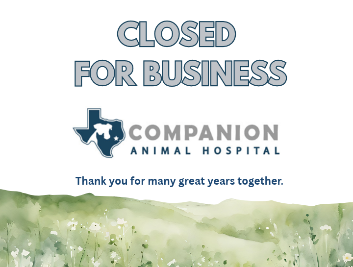 Companion Animal Hospital Is Permanently Closed