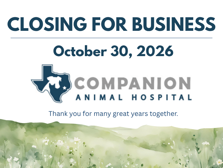 An Important Update from Companion Animal Hospital